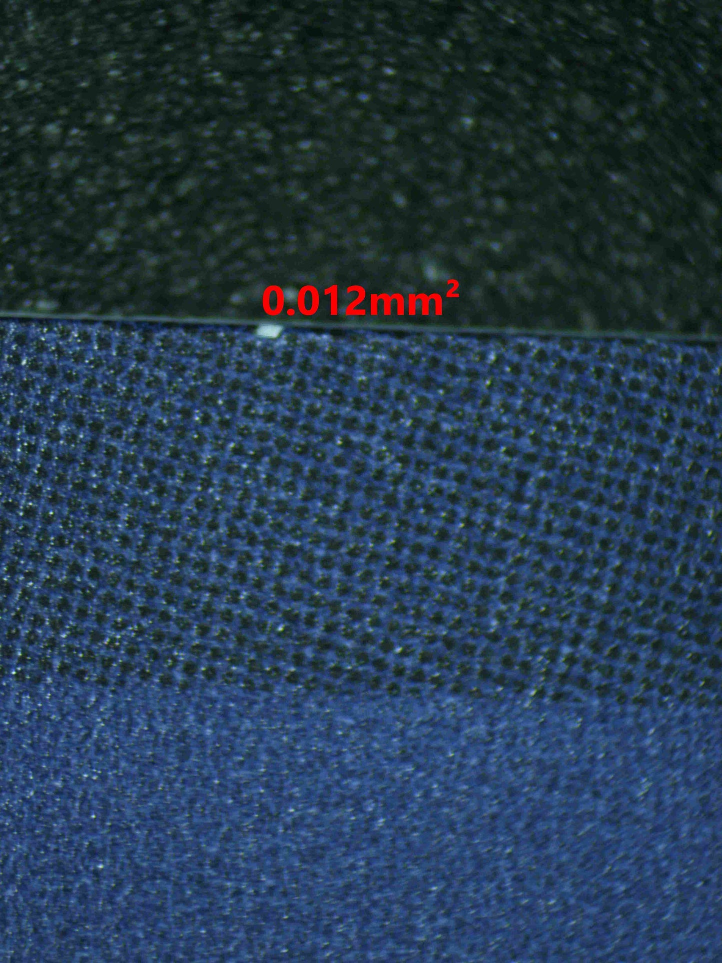 05030 NEKOMAMUSHI Grading Card