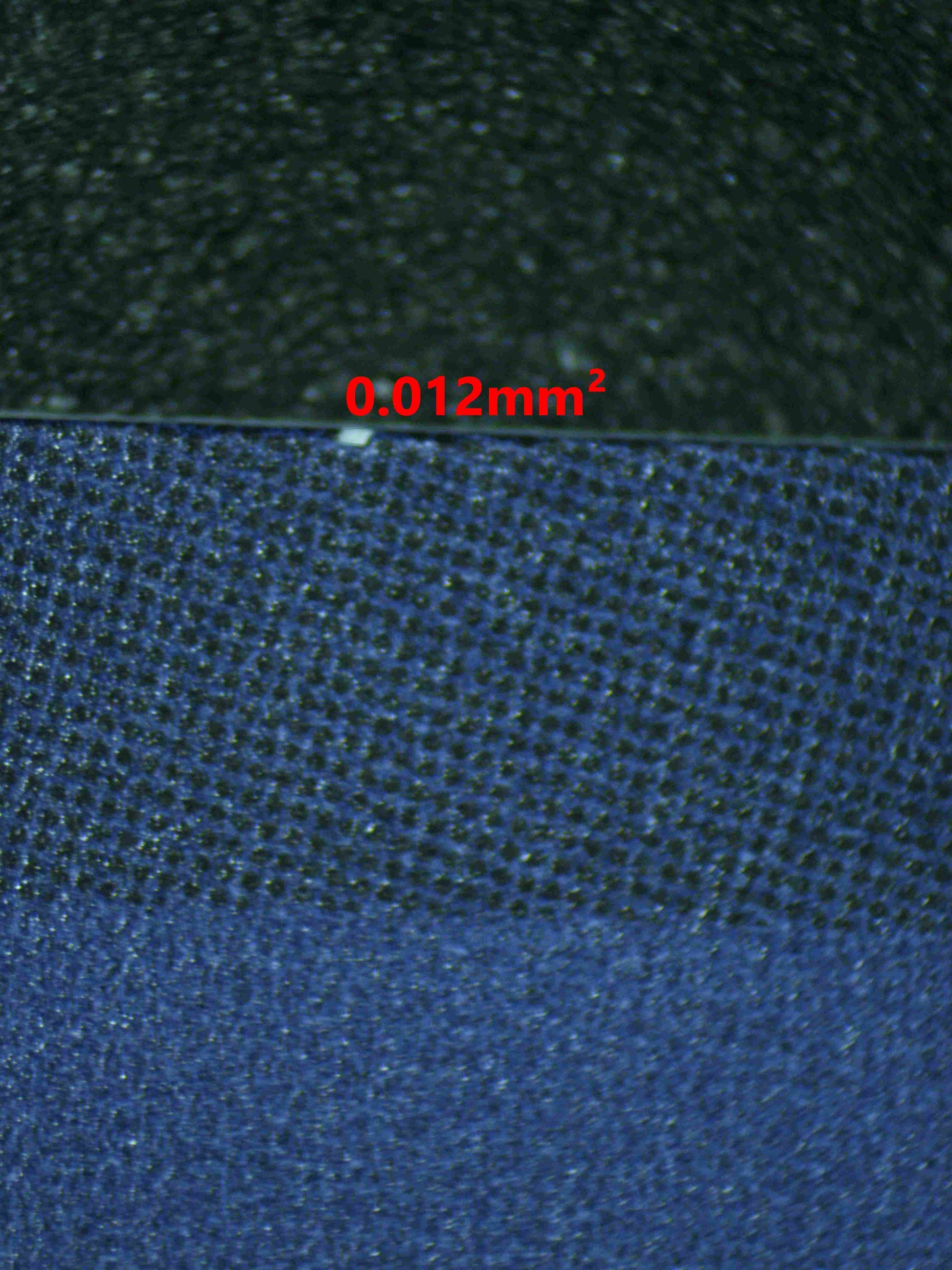 05030 NEKOMAMUSHI Grading Card