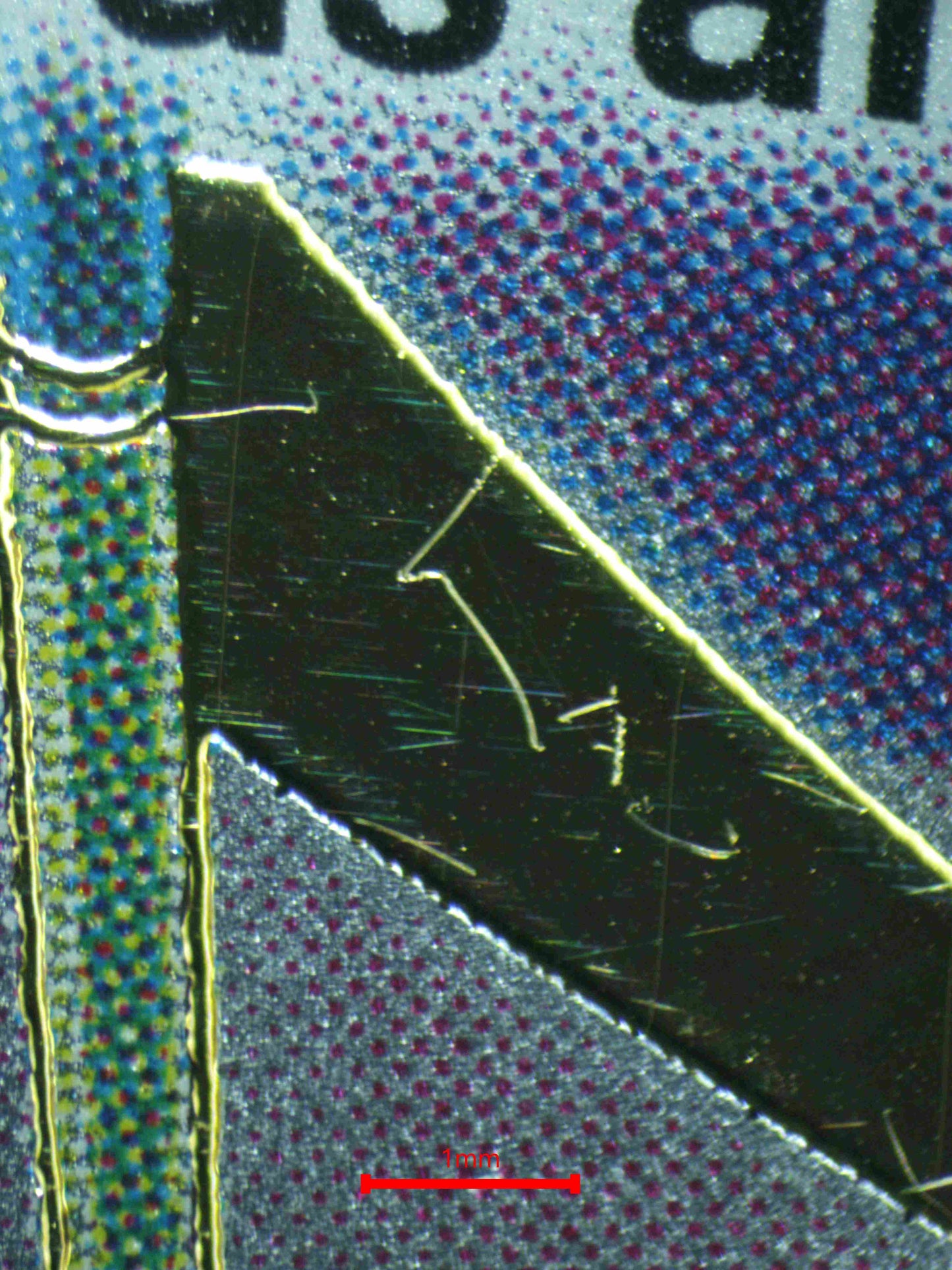 05036 TIME REWOUND Grading Card