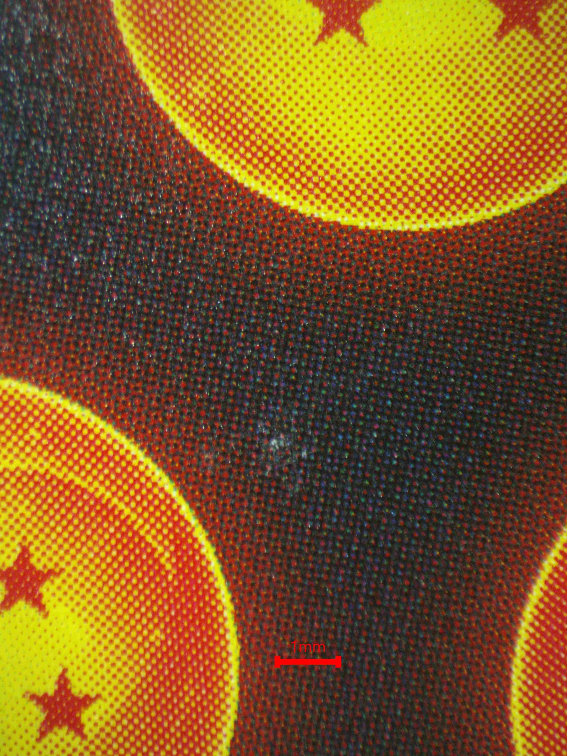 05037 TIME REWOUND Grading Card