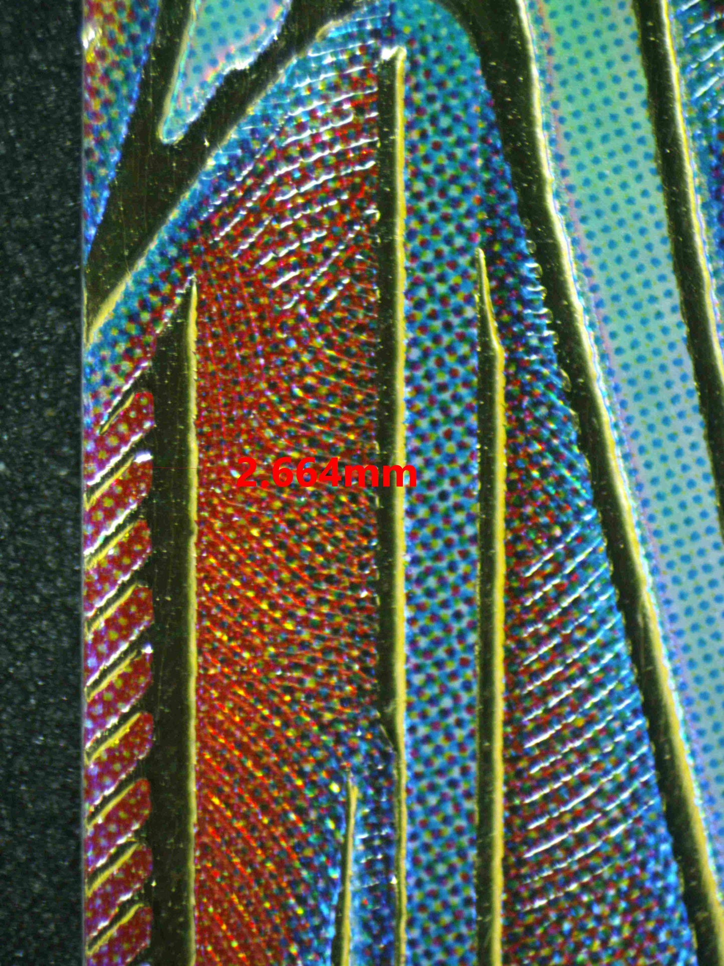 05040 BARDOCK Grading Card