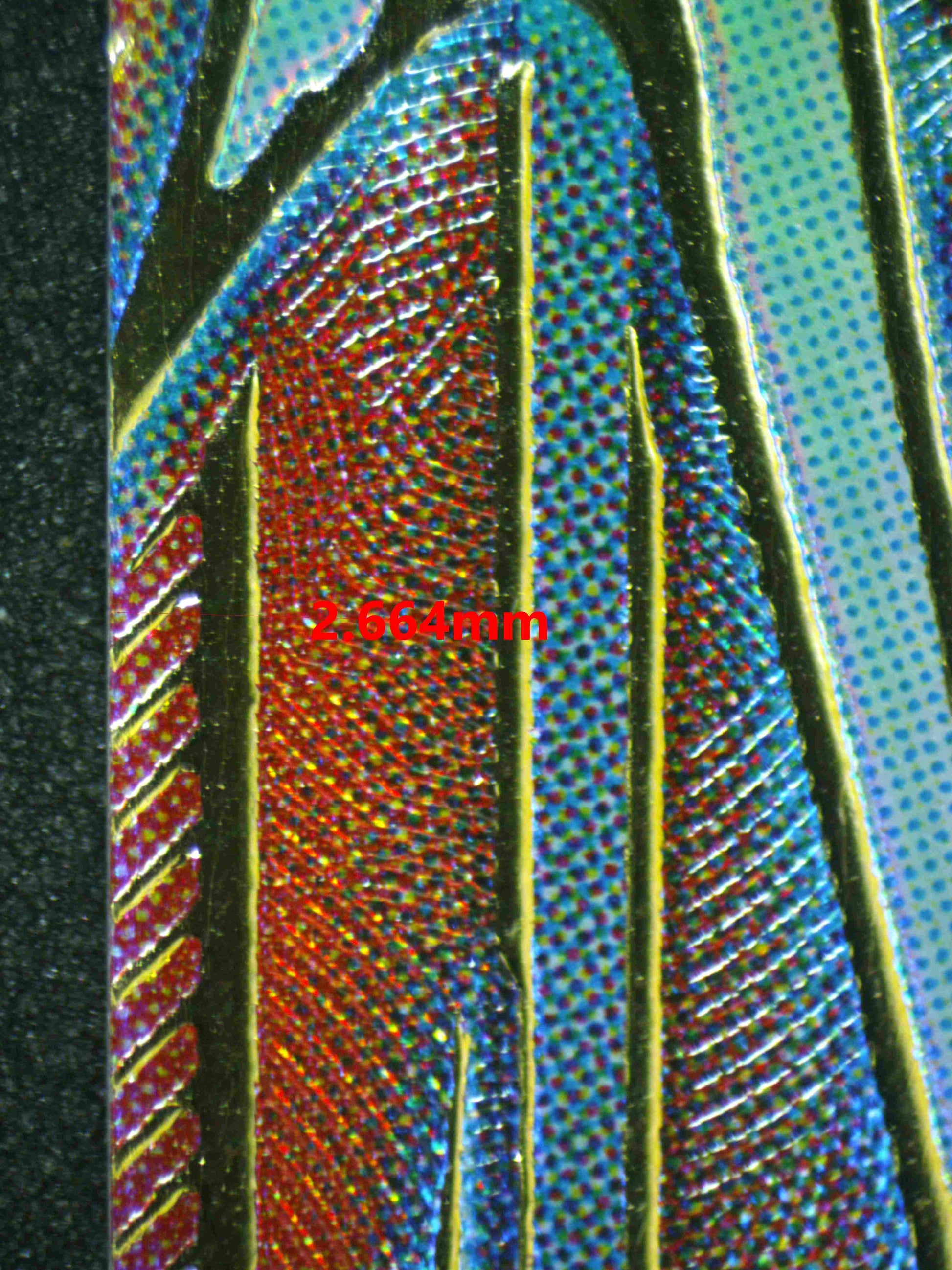 05040 BARDOCK Grading Card