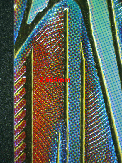 05040 BARDOCK Grading Card