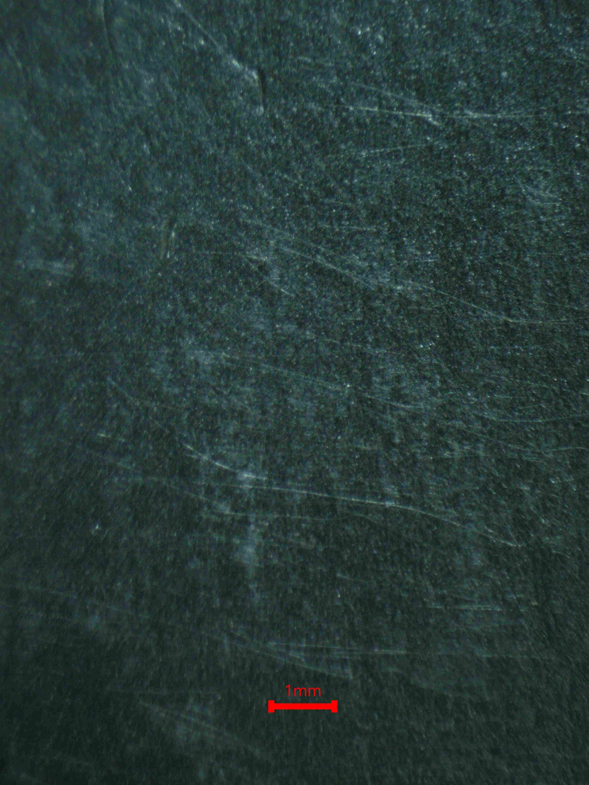 06902 DARK MAGICIAN Grading Card