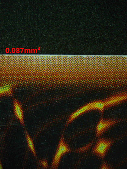 06902 DARK MAGICIAN Grading Card