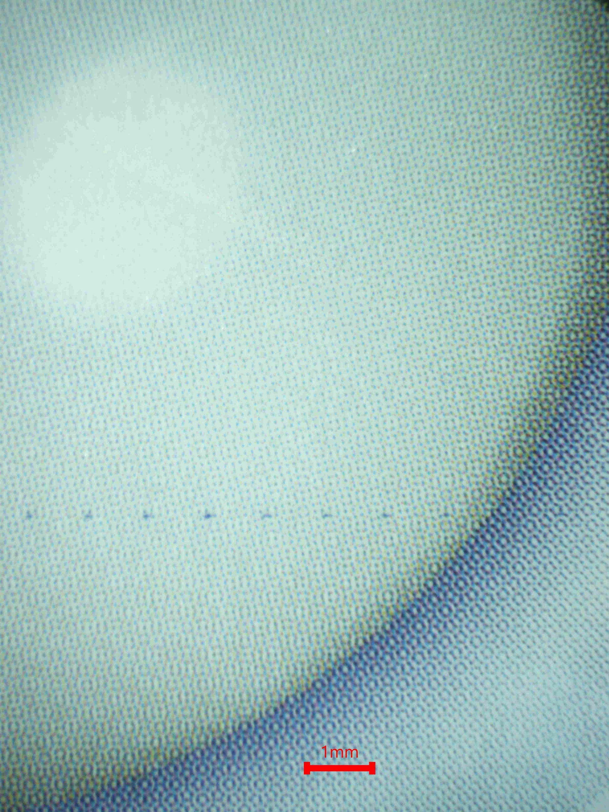 06905 GENESECT V Grading Card