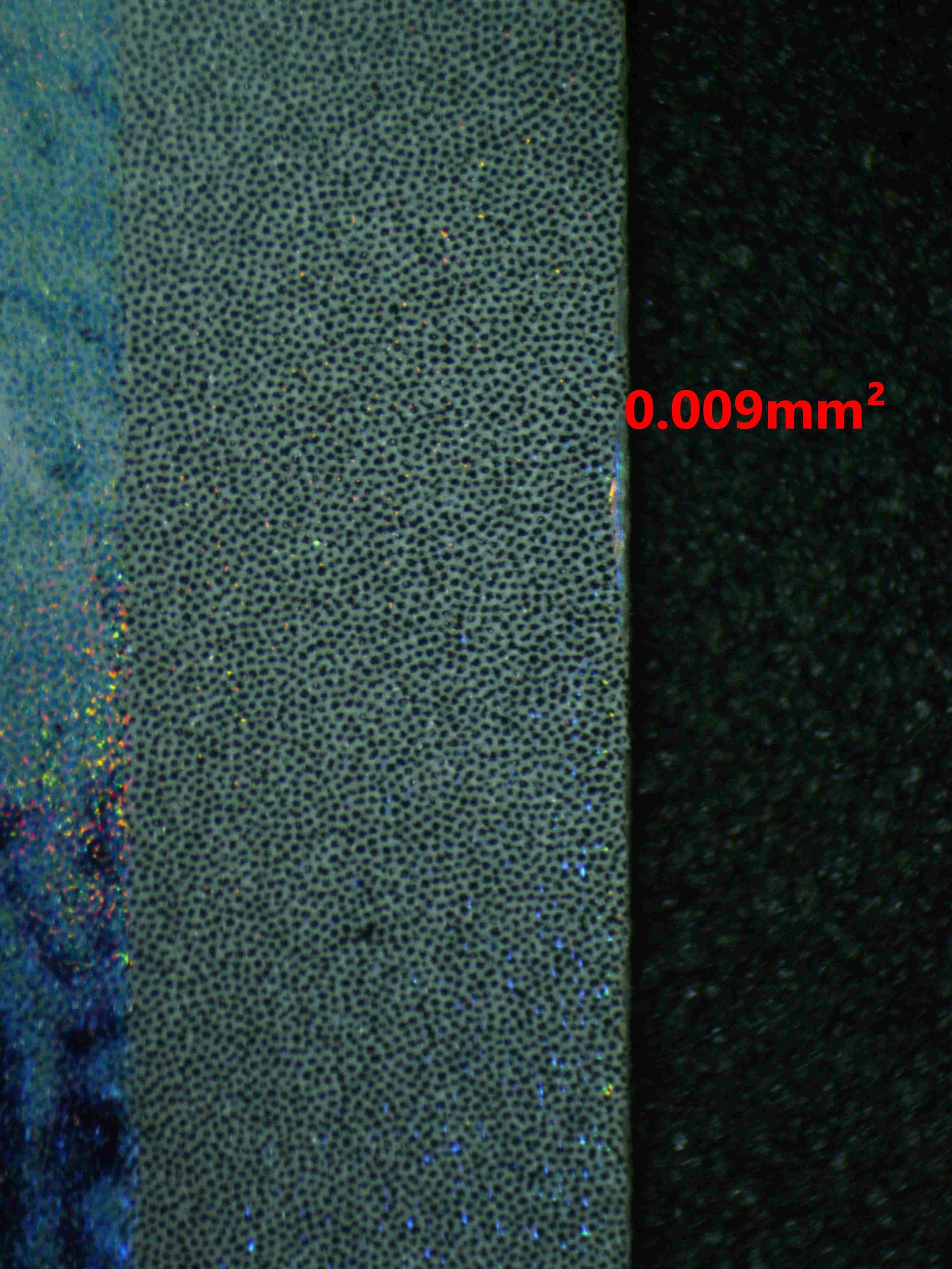 06906 ARTICUNO Grading Card