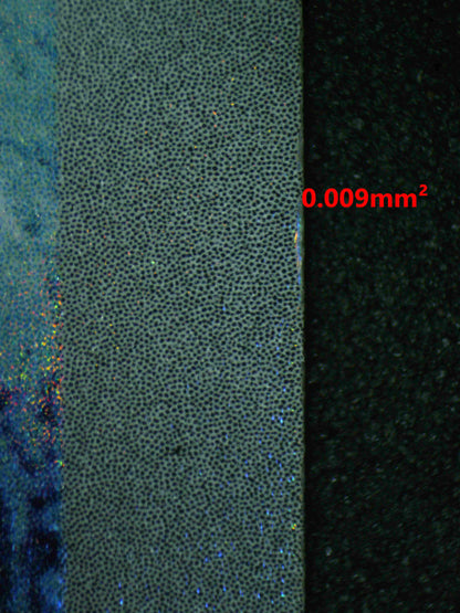 06906 ARTICUNO Grading Card