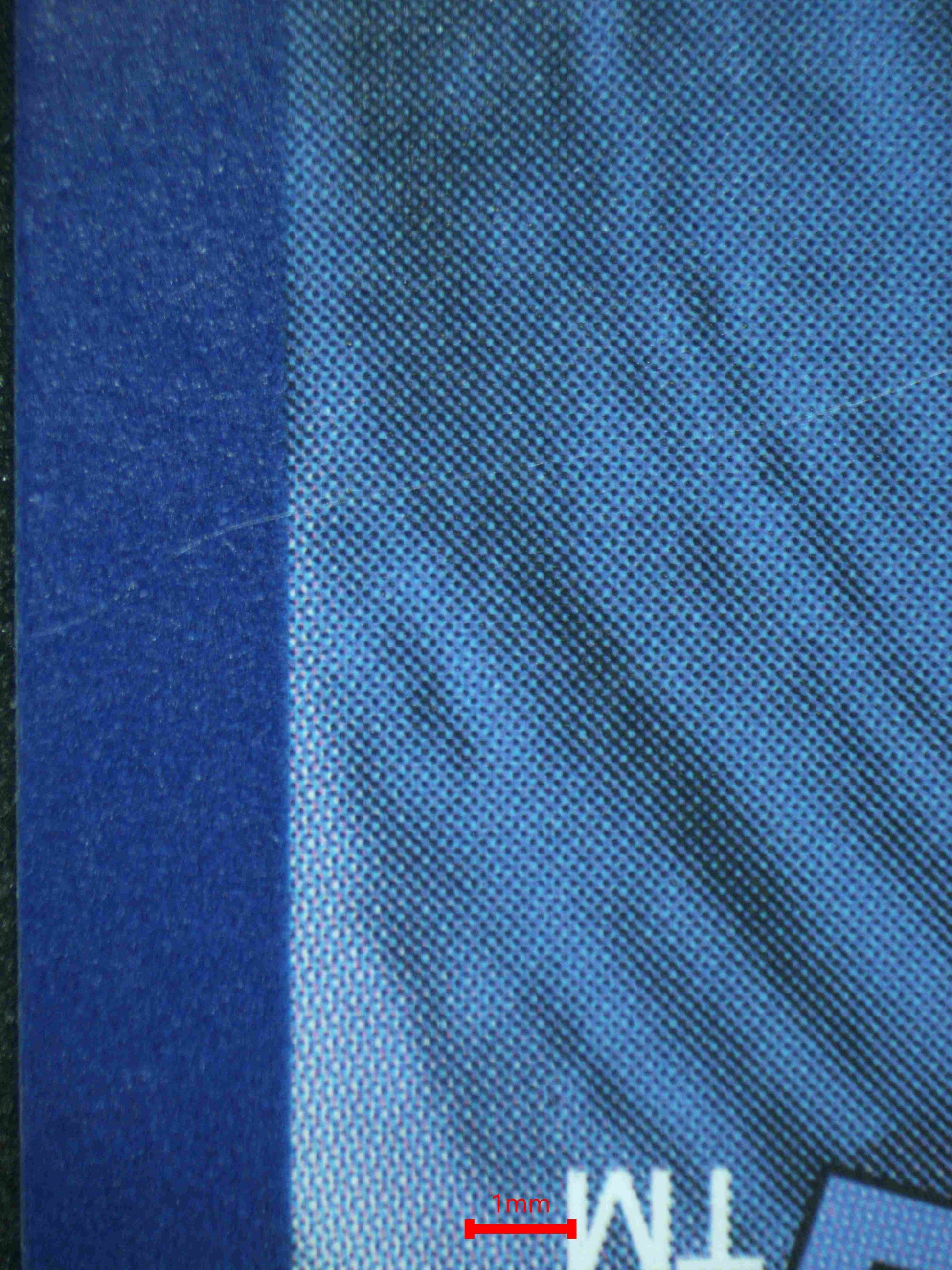 06909 HOUNDOOM (SPANISH) Grading Card