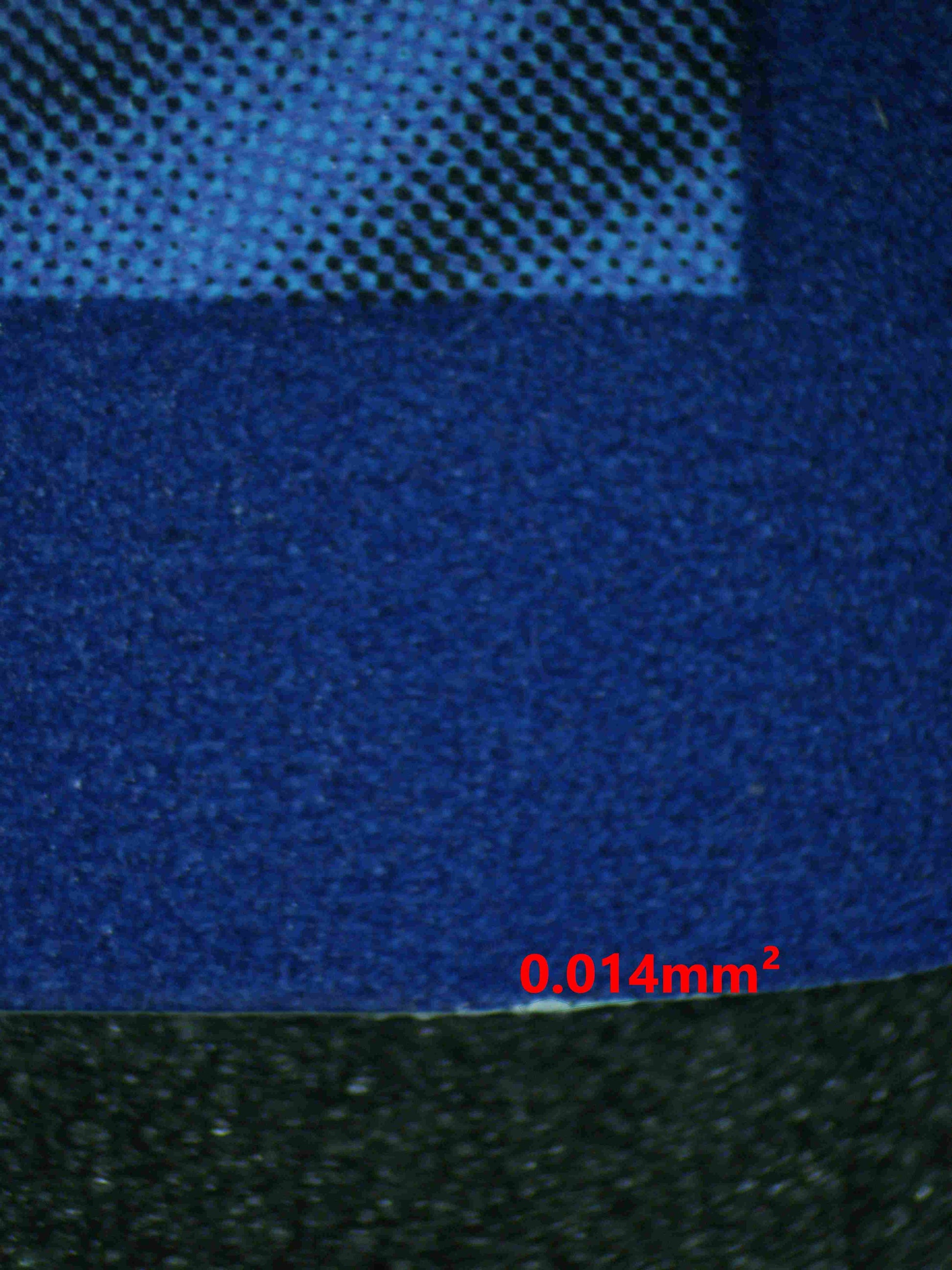 06909 HOUNDOOM (SPANISH) Grading Card