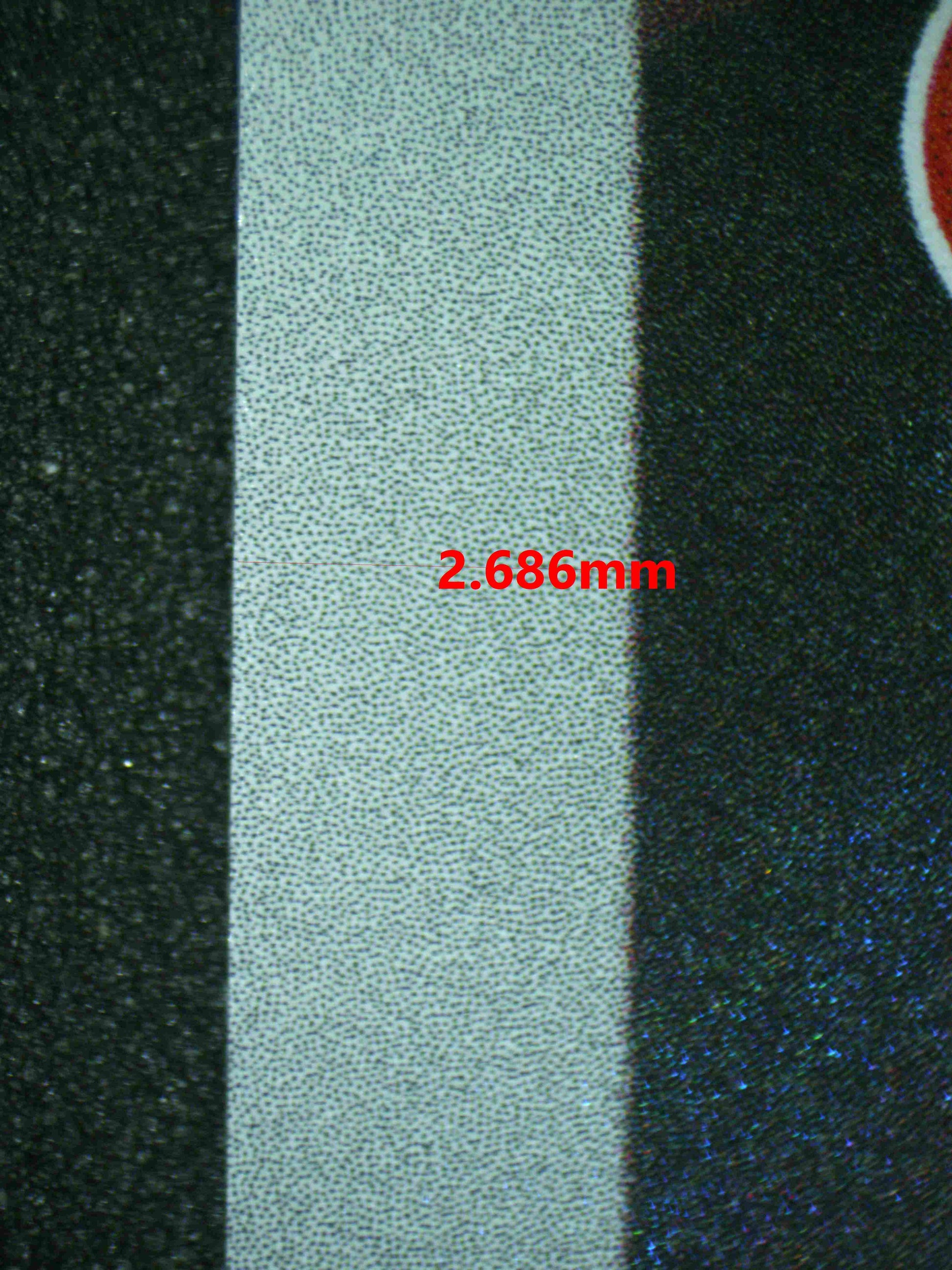 06909 HOUNDOOM (SPANISH) Grading Card