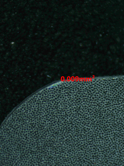 06540 SNOM Grading Card