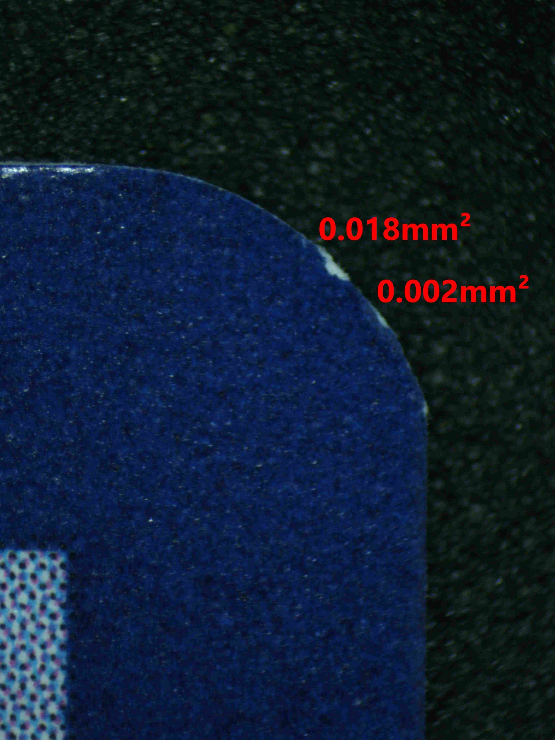 06541 IRON LEAVES EX Grading Card