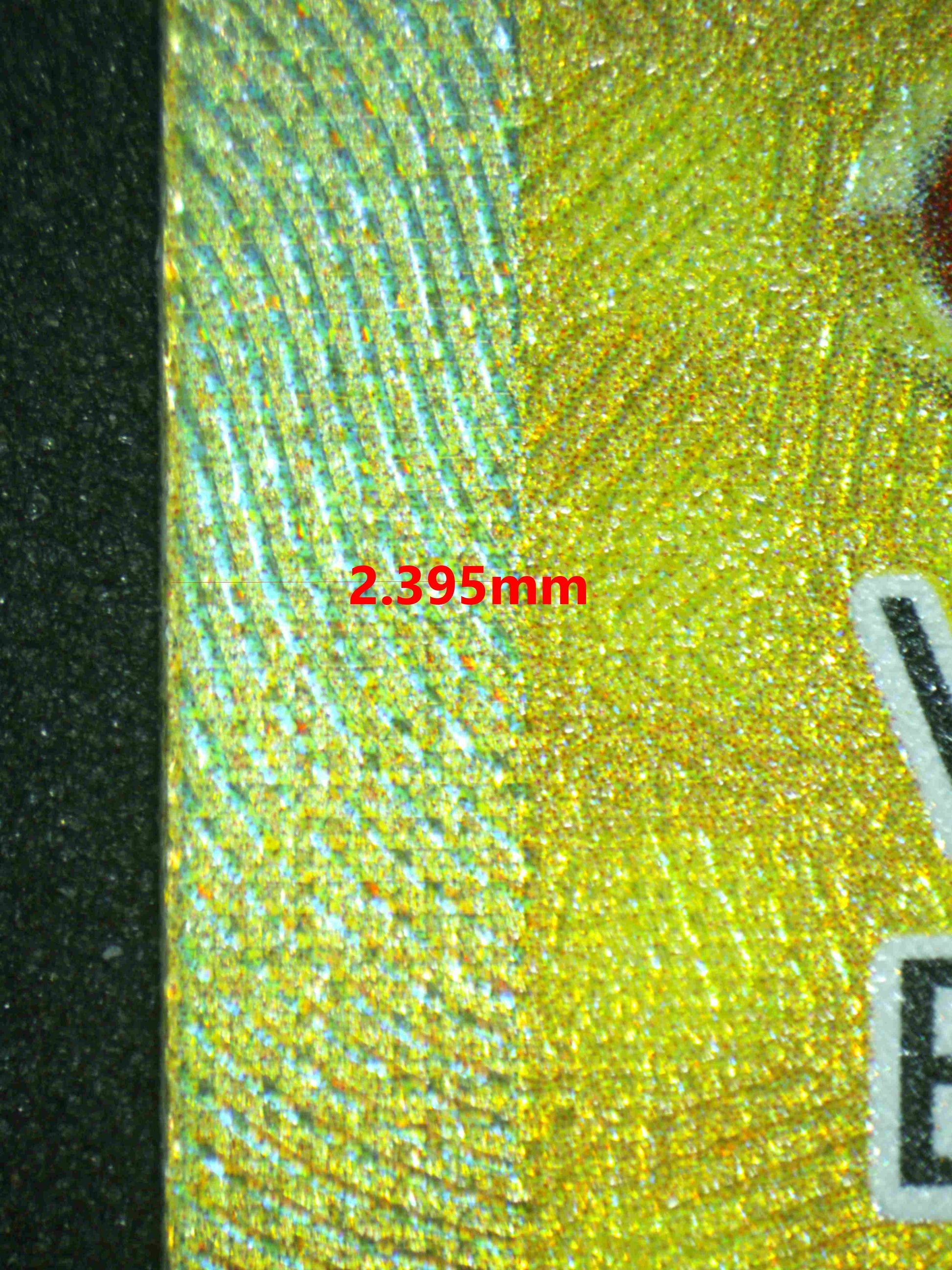 06541 IRON LEAVES EX Grading Card