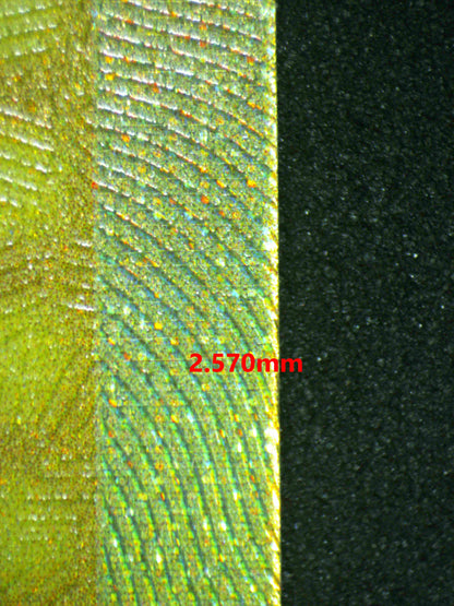 06541 IRON LEAVES EX Grading Card