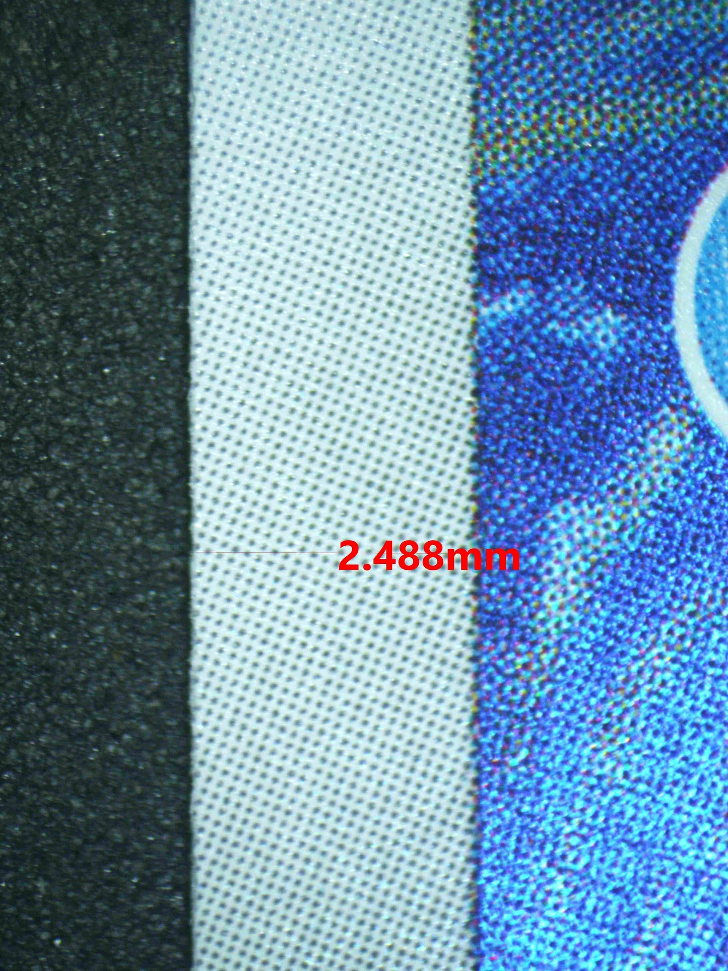 06921 WARTORTLE (JAPANESE) Grading Card