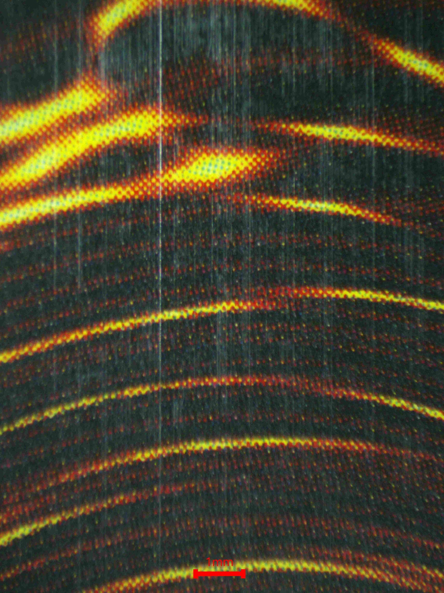 06912 RED-EYES BLACK DRAGON Grading Card