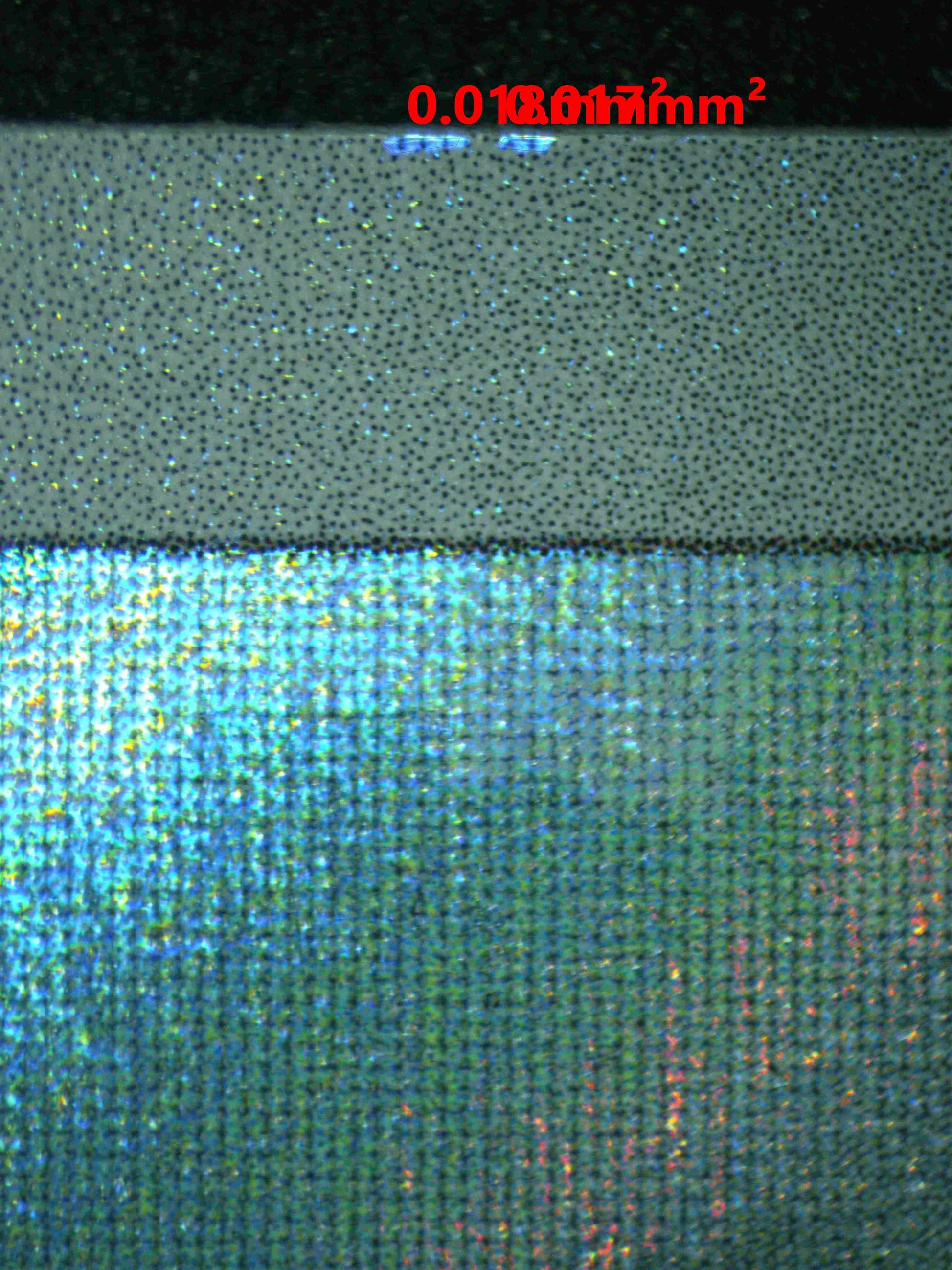 06924 HOP'S WOOLOO Grading Card