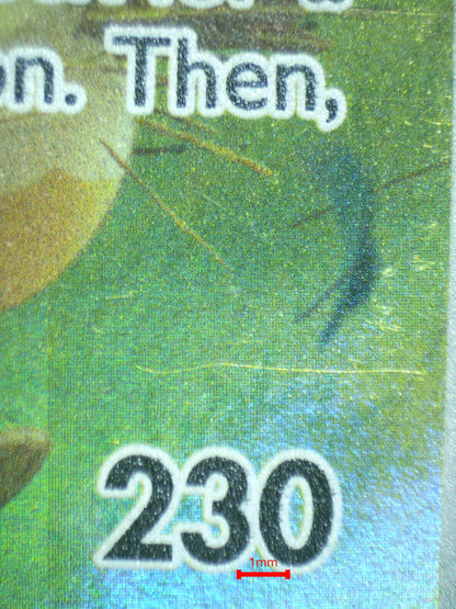 06927 PAWMOT Grading Card