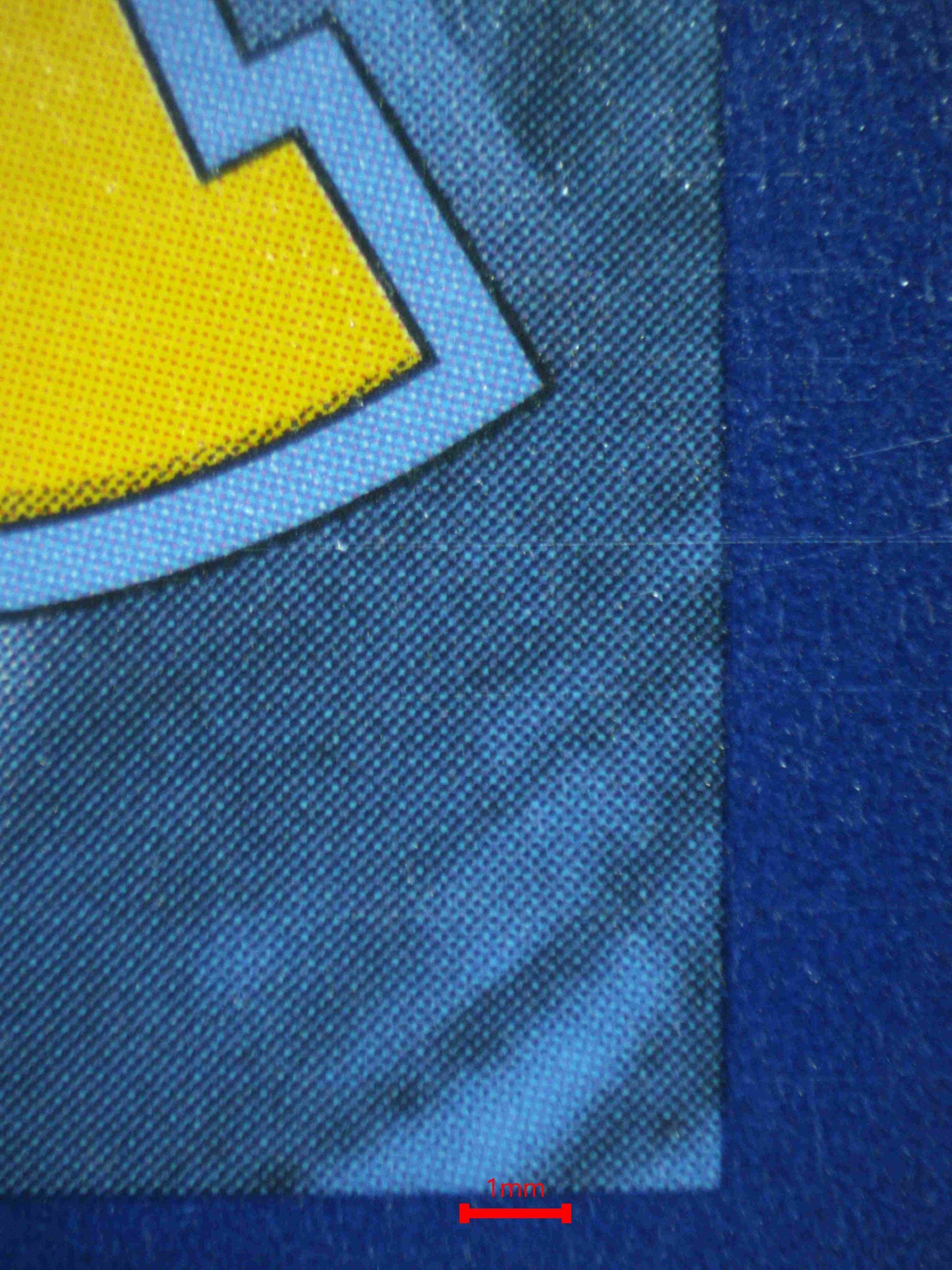 06928 PIKACHU V Grading Card