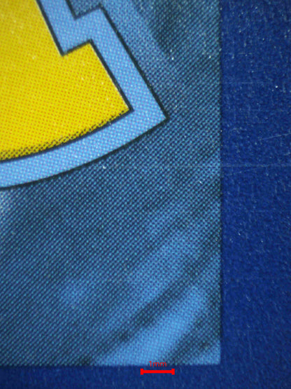 06928 PIKACHU V Grading Card
