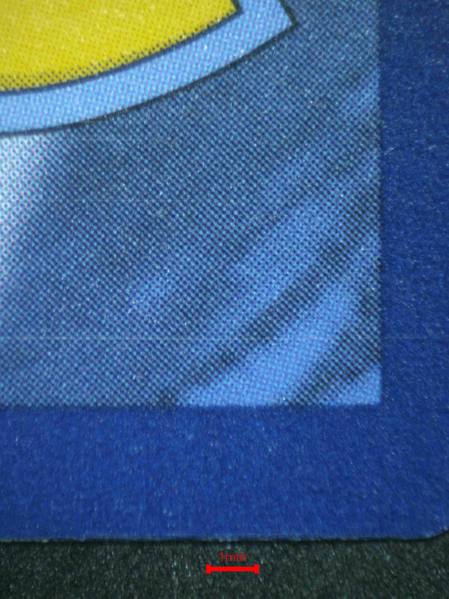 04050 PARADISE RESORT (ITALIAN) Grading Card