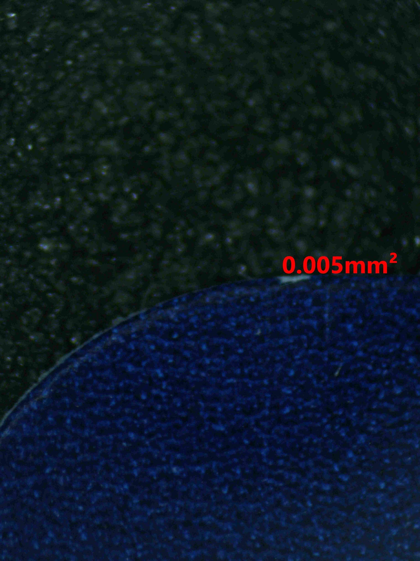 04059 PARADISE RESORT (CHINESE) Grading Card