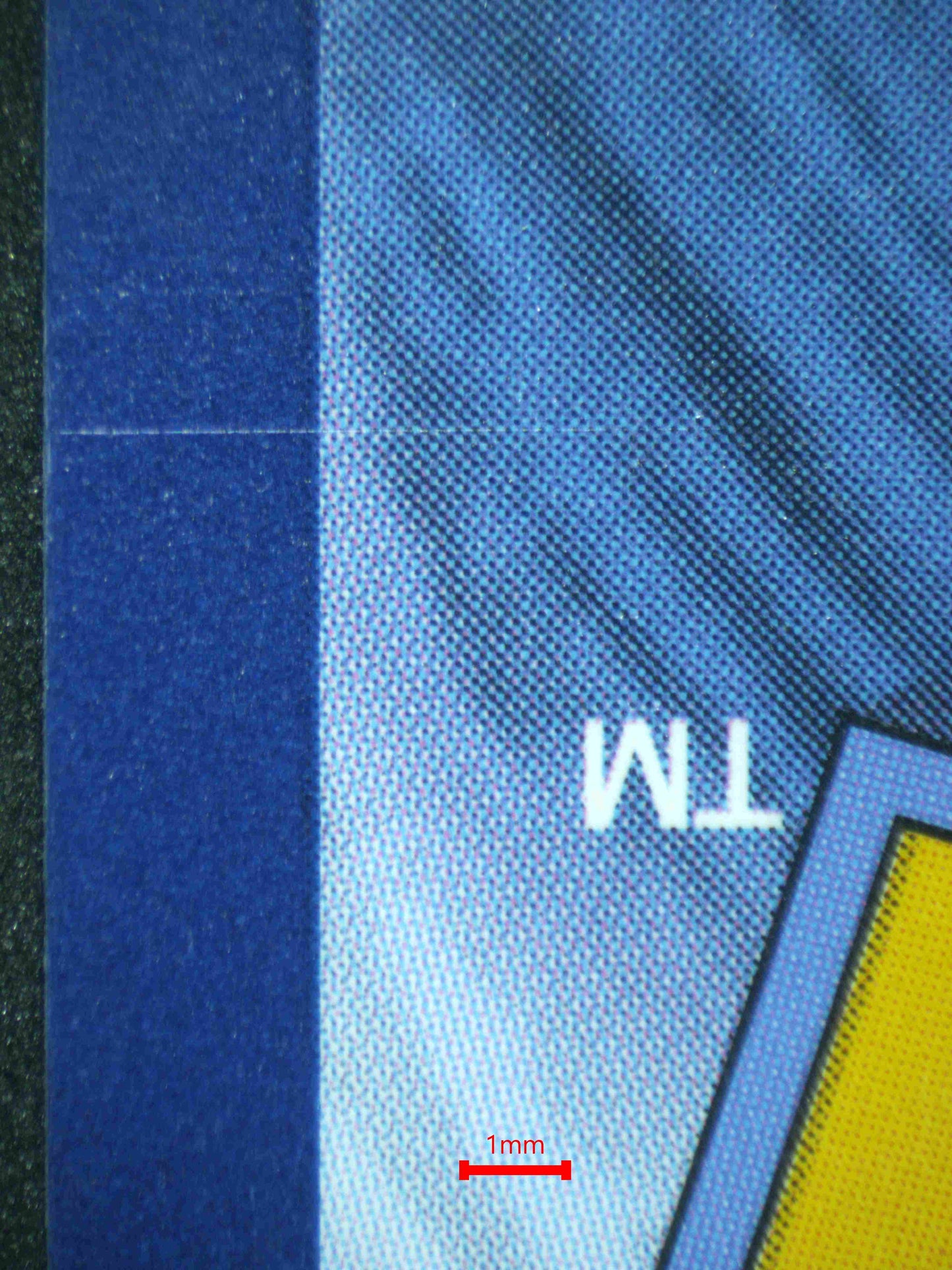 06969 PIKACHU EX Grading Card