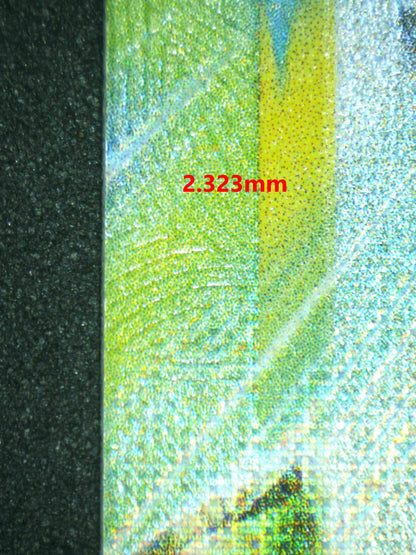 06969 PIKACHU EX Grading Card