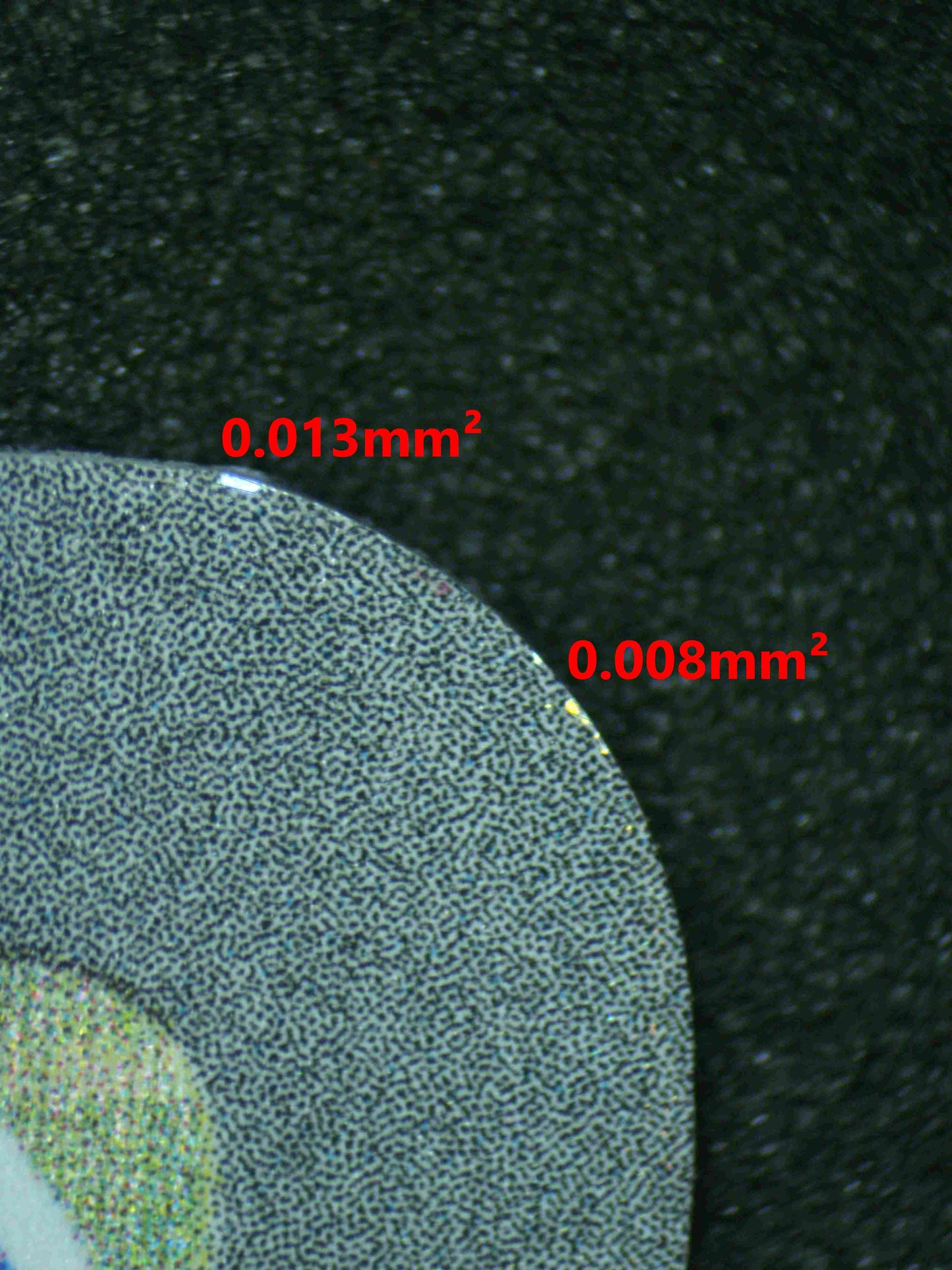 06974 OMANYTE Grading Card