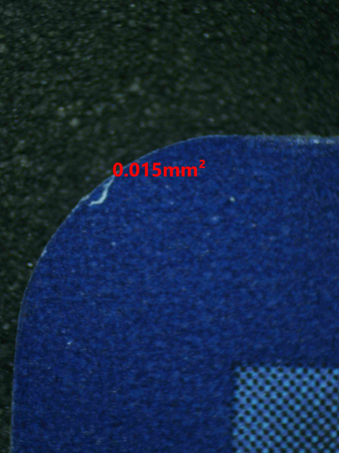 06975 EEVEE Grading Card