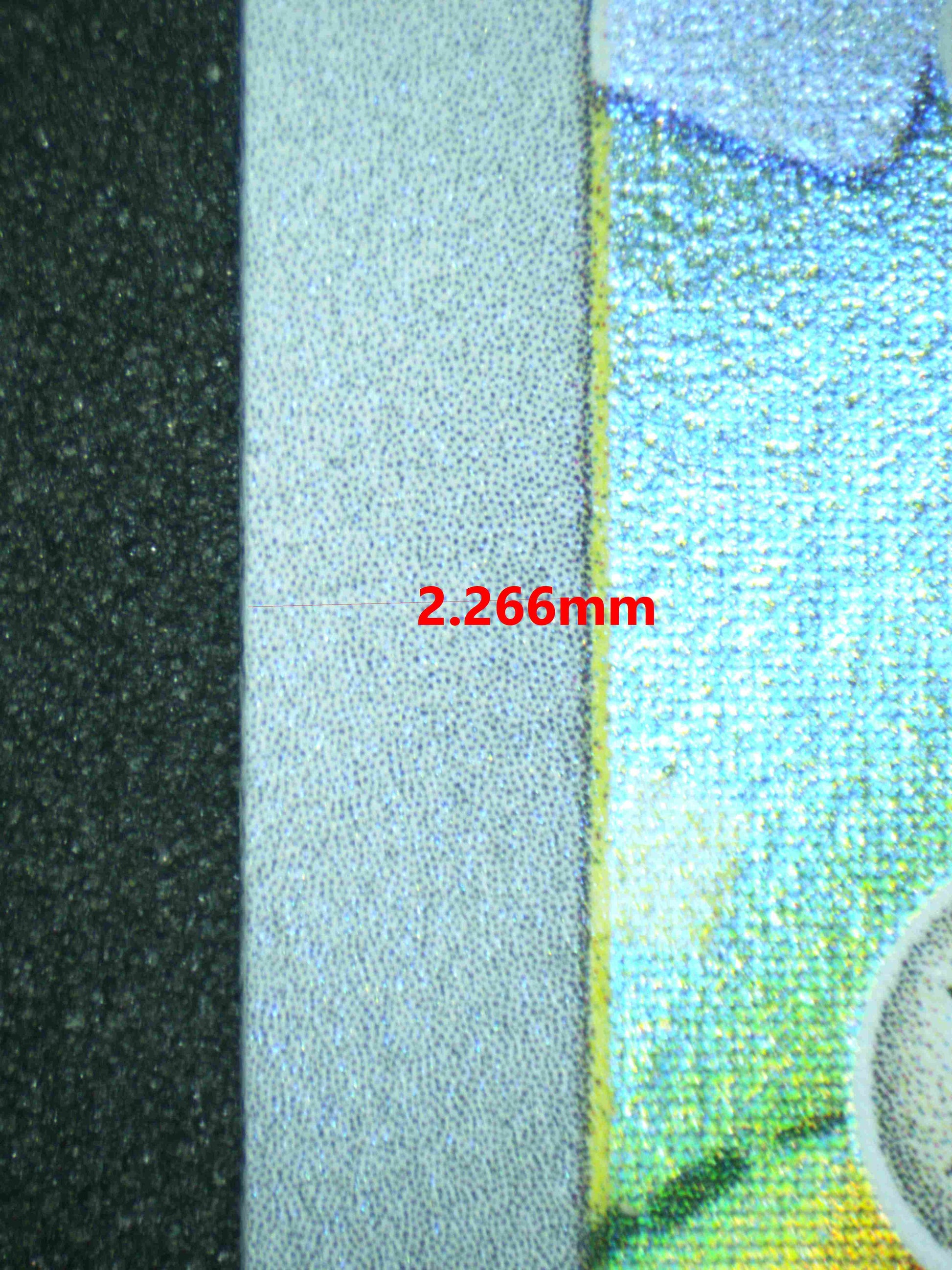 06975 EEVEE Grading Card