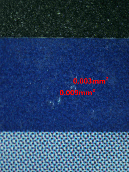 06981 SUICUNE V (SPANISH) Grading Card