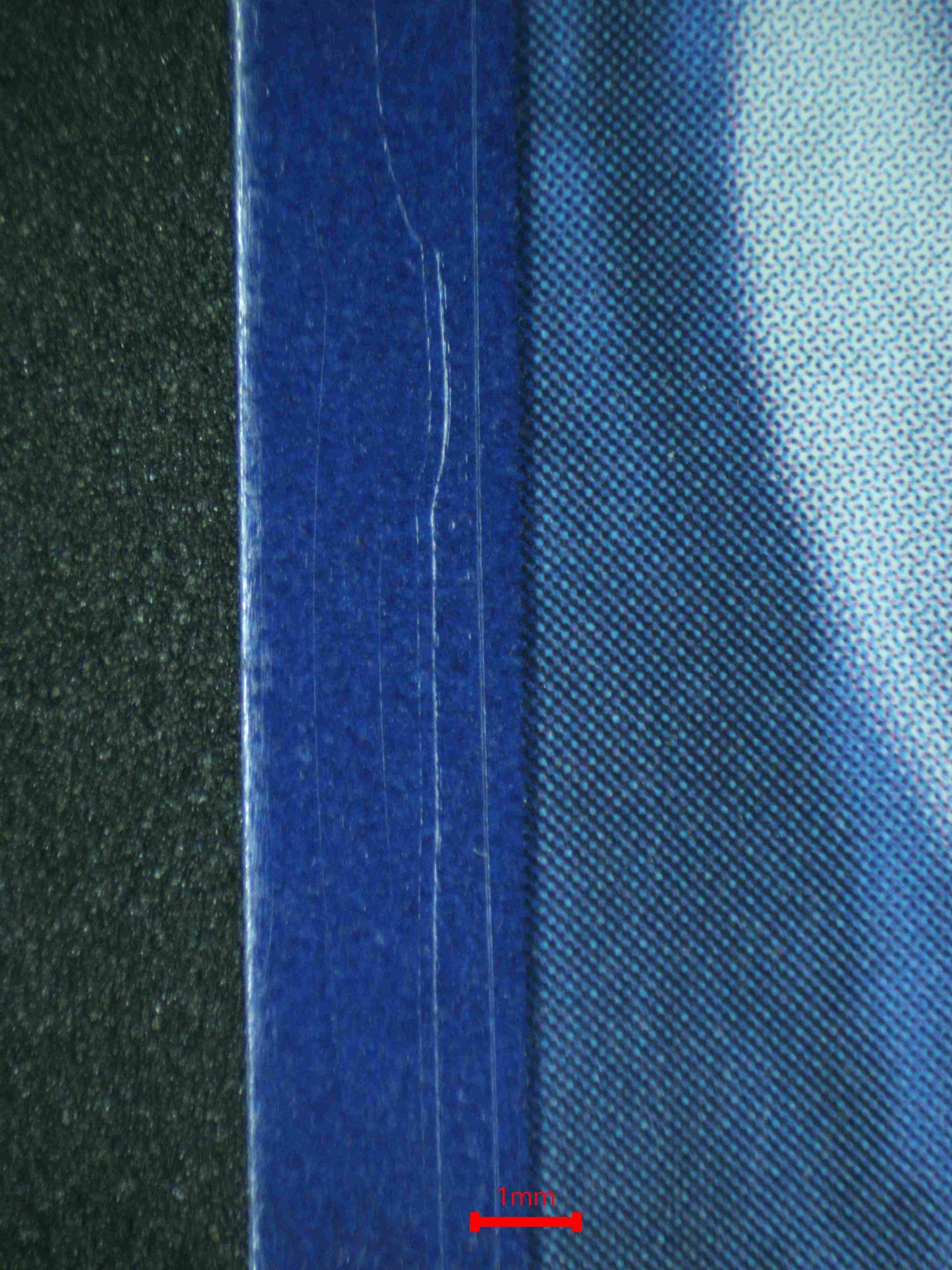 06982 STEELIX Grading Card