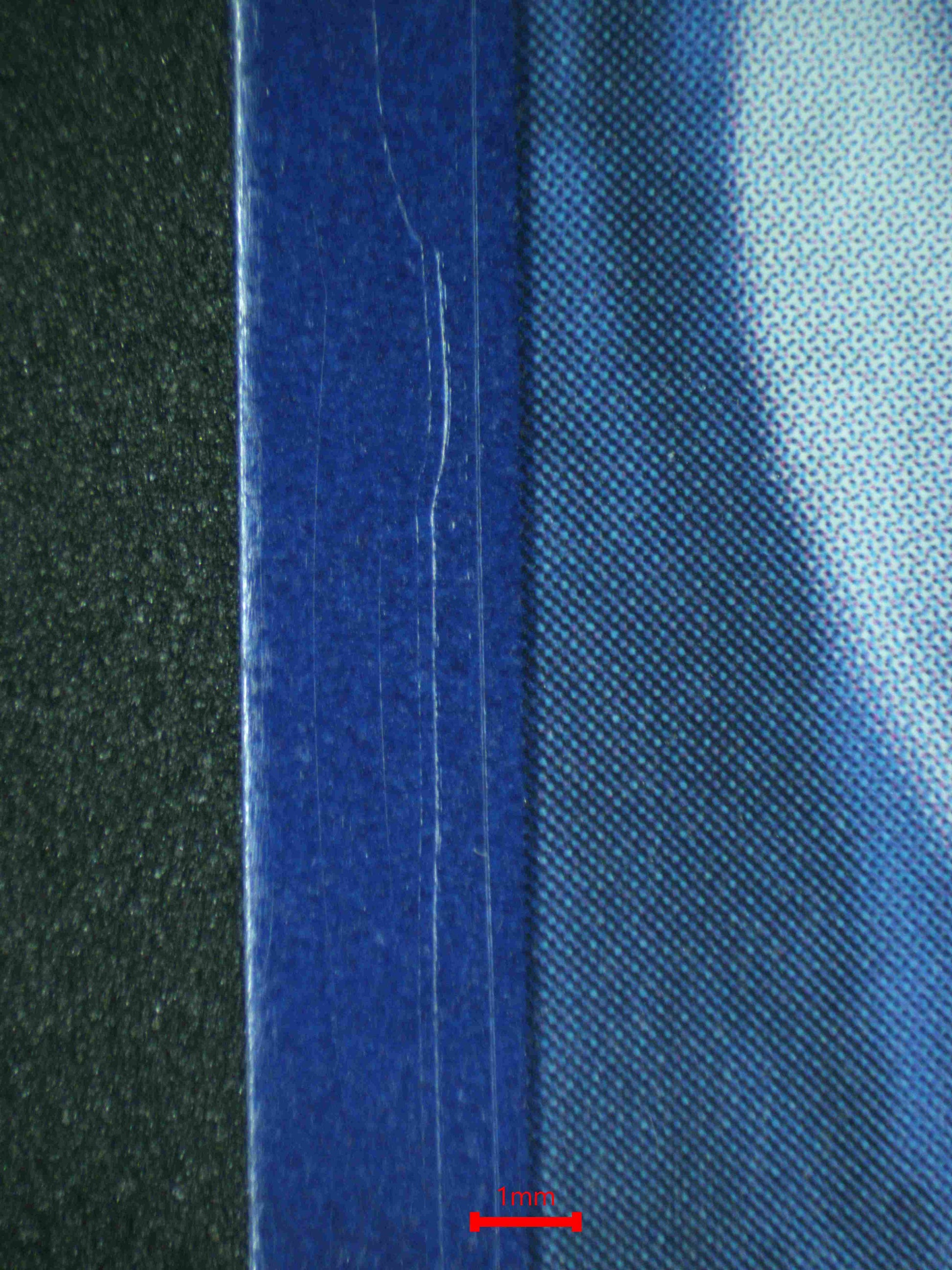 06982 STEELIX Grading Card