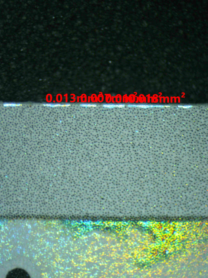 06982 STEELIX Grading Card