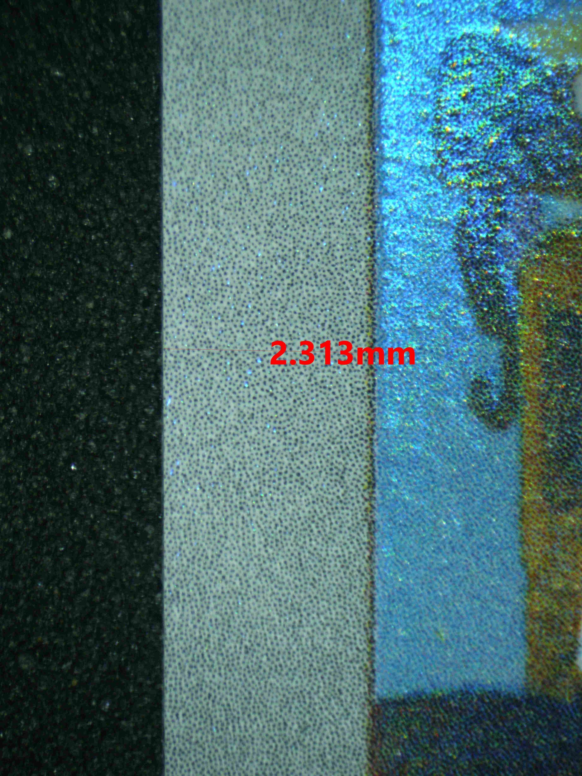 06982 STEELIX Grading Card