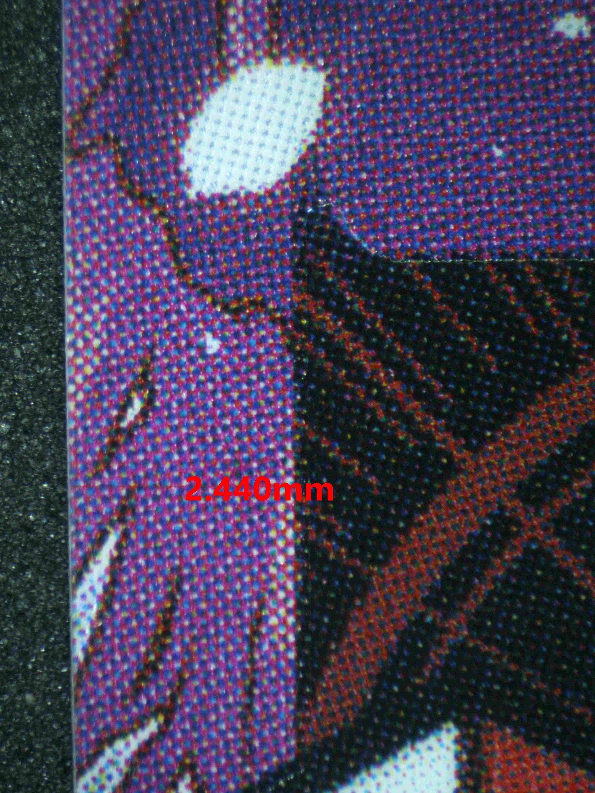 07004 NEFELTARI VIVI Grading Card