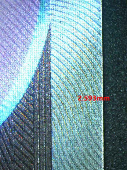 07007 TEAM ROCKET'S MEWTWO EX Grading Card