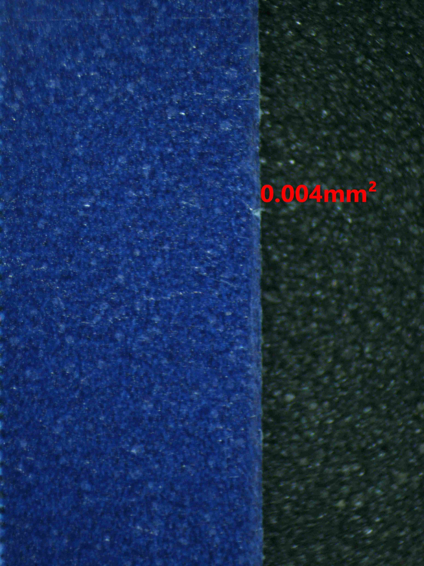 07009 VENUSAUR EX Grading Card