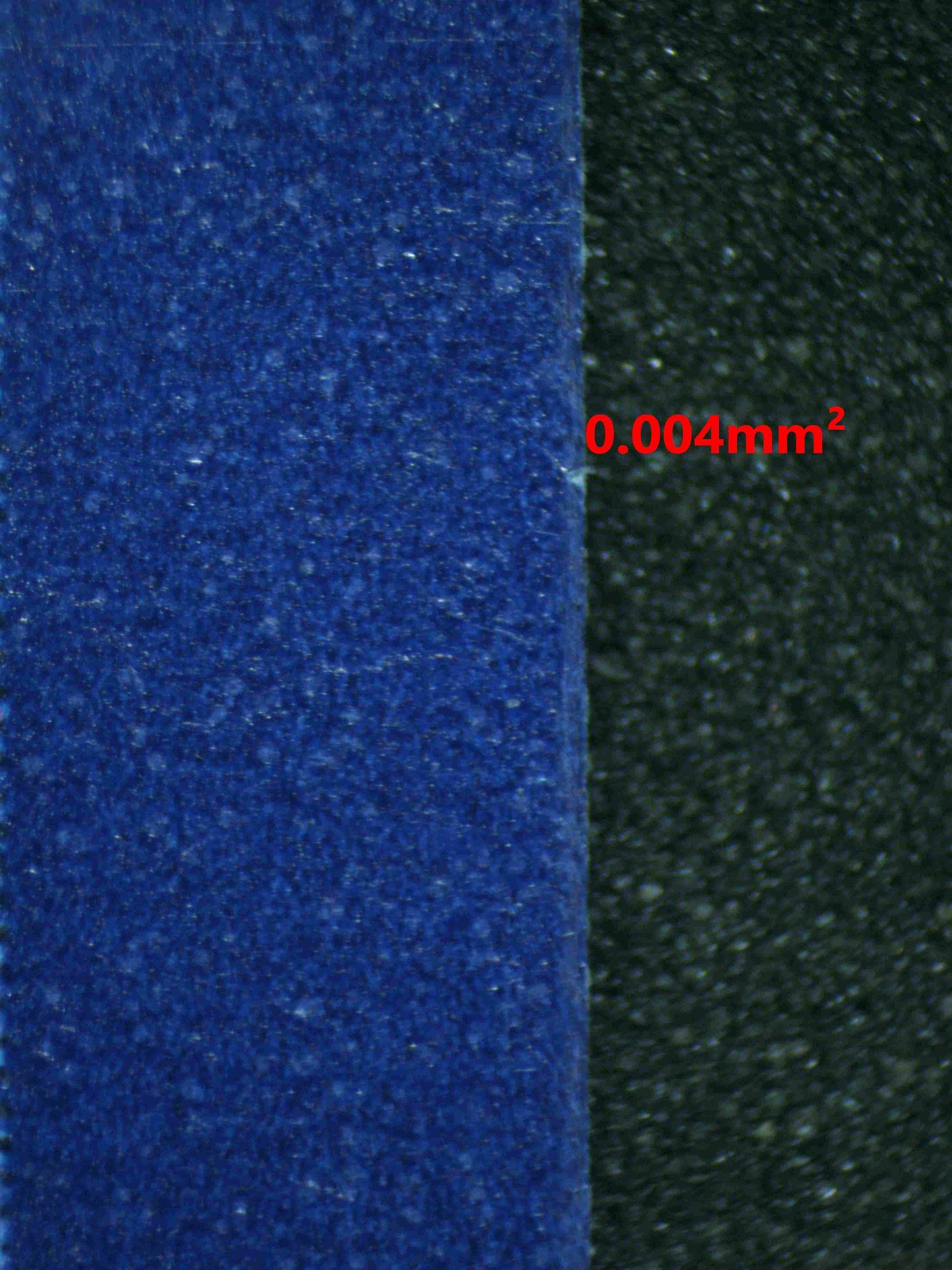 07009 VENUSAUR EX Grading Card