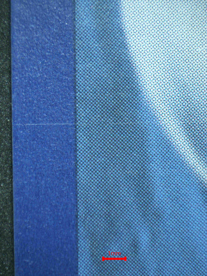 07029 CHARIZARD EX (SPANISH) Grading Card