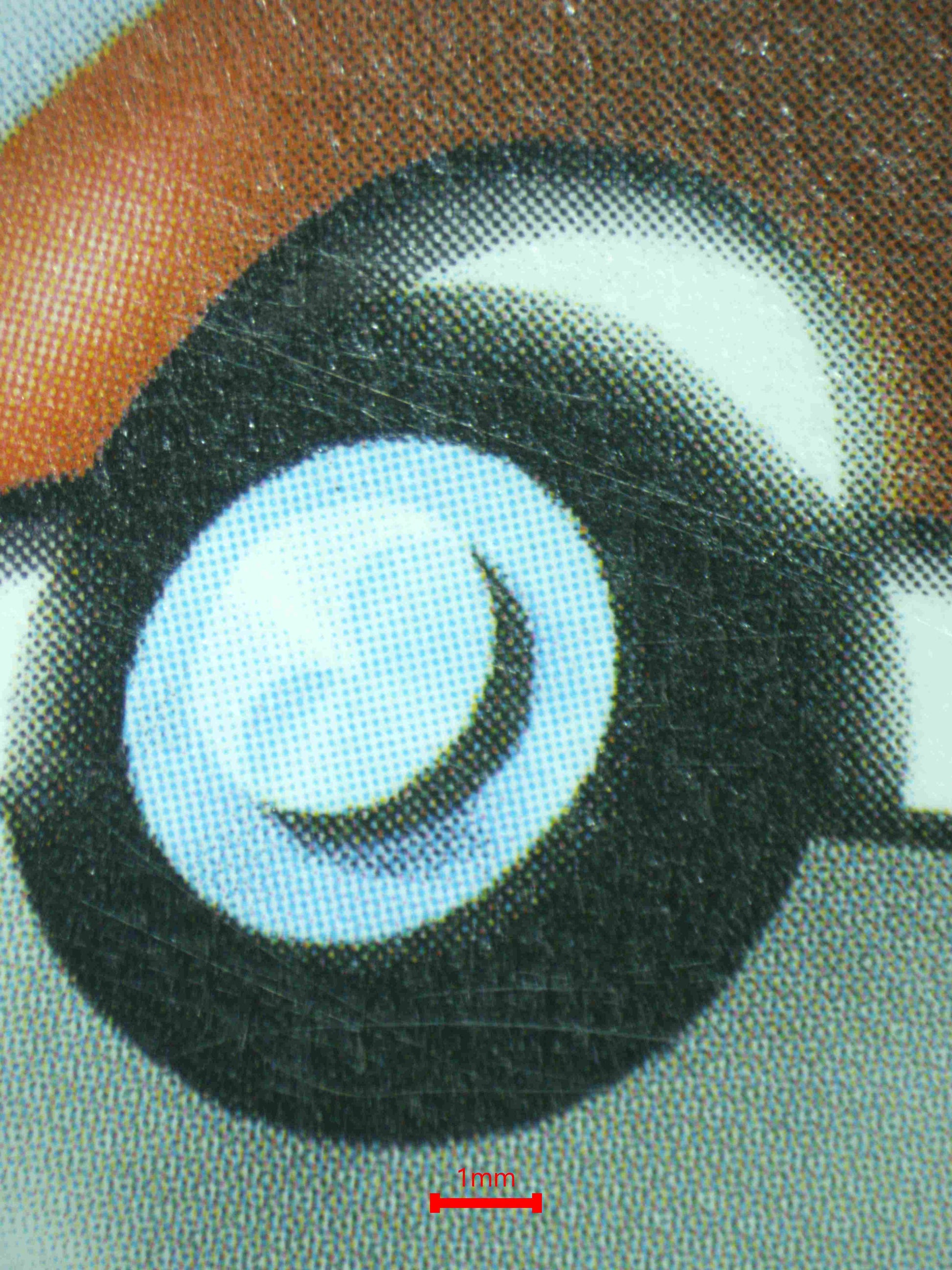 07033 GLACEON GX Grading Card