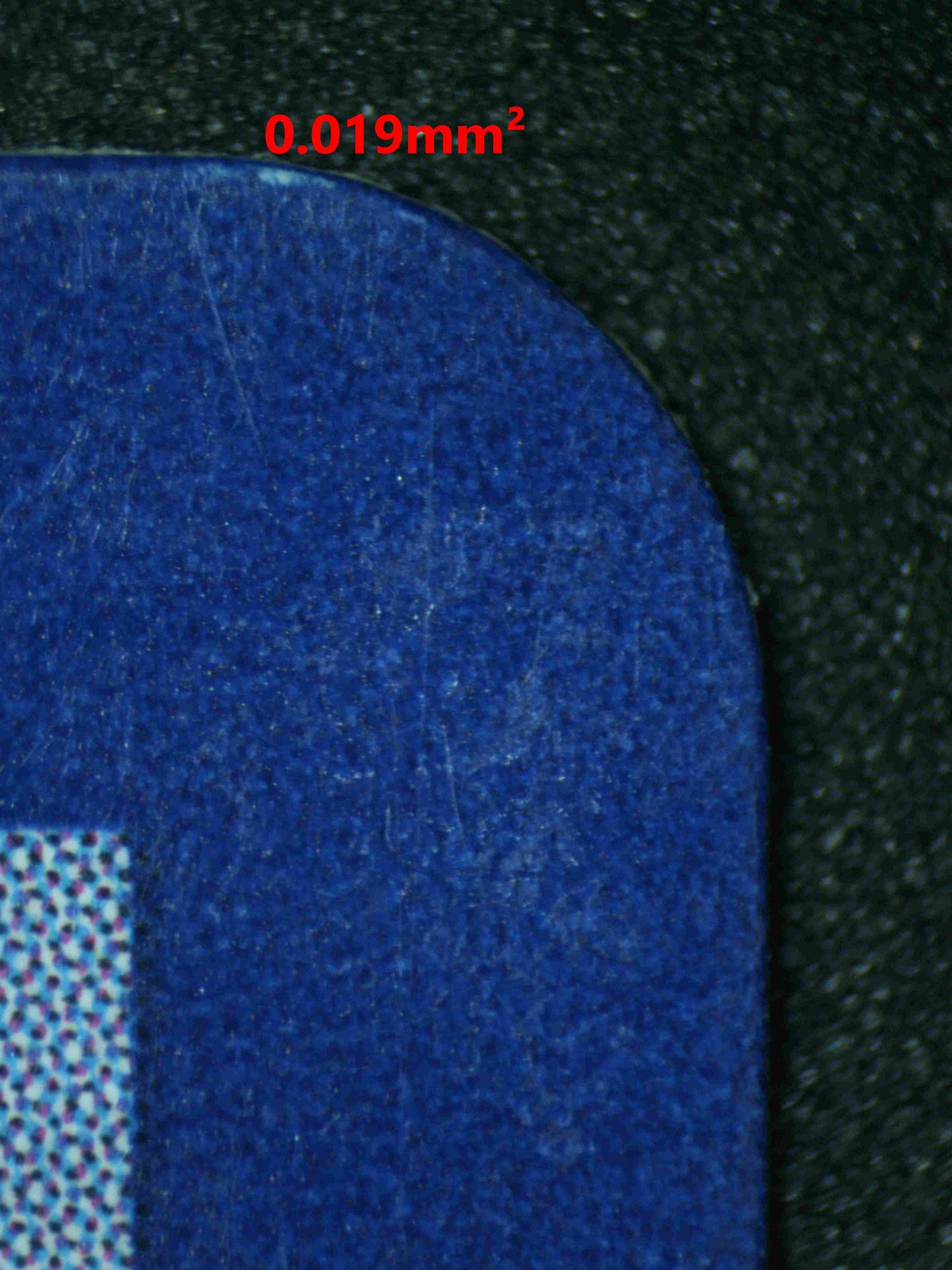 07036 VENUSAUR & SNIVY GX Grading Card