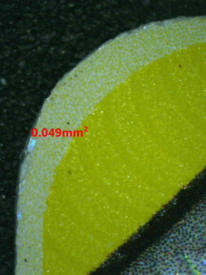 07036 VENUSAUR & SNIVY GX Grading Card