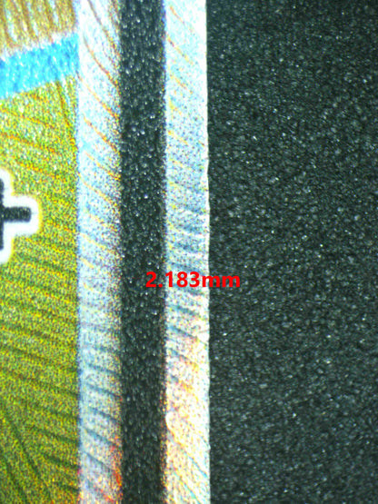 07037 GARCHOMP & GIRATINA GX Grading Card