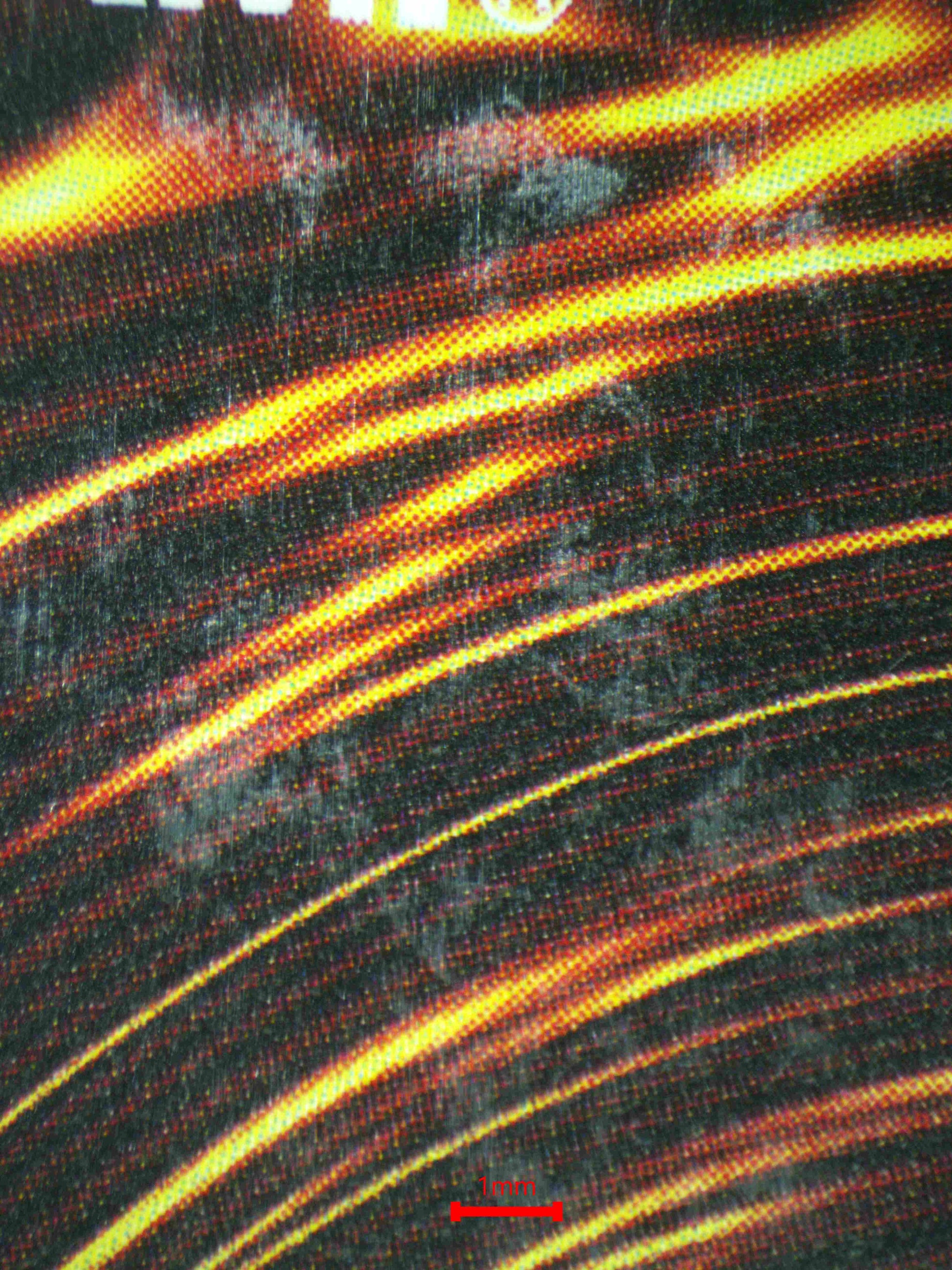 07038 DARK ARMED DRAGON Grading Card