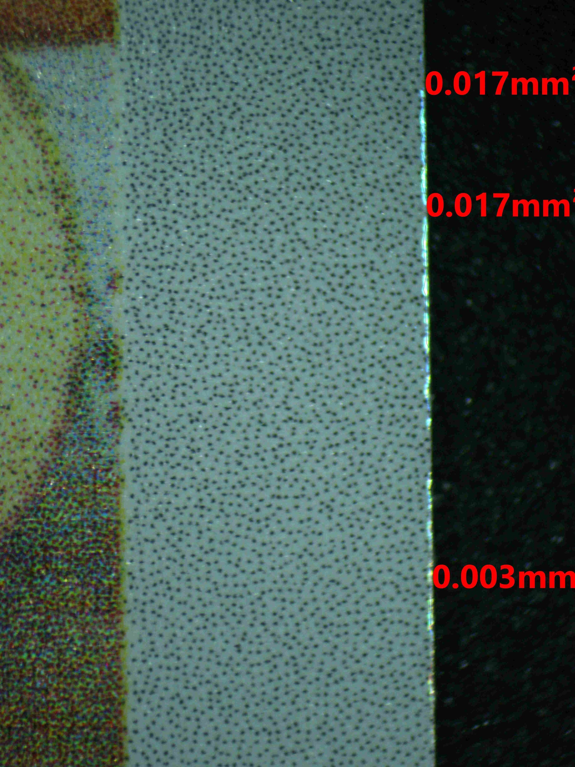 07053 EEVEE Grading Card