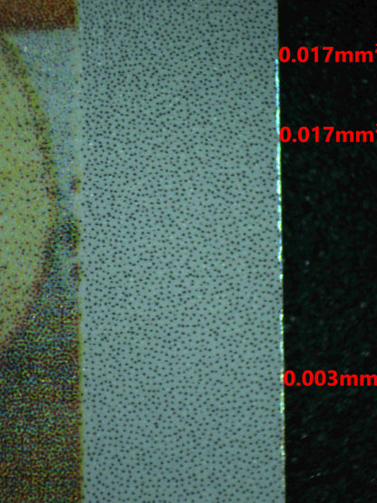 07053 EEVEE Grading Card