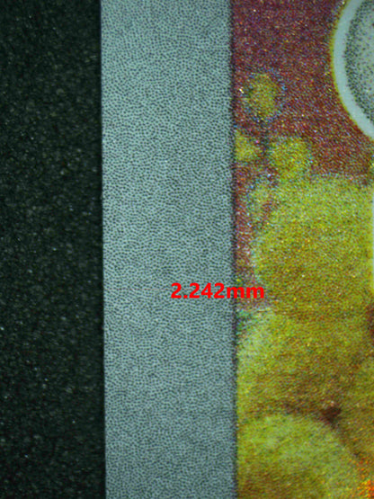 07053 EEVEE Grading Card